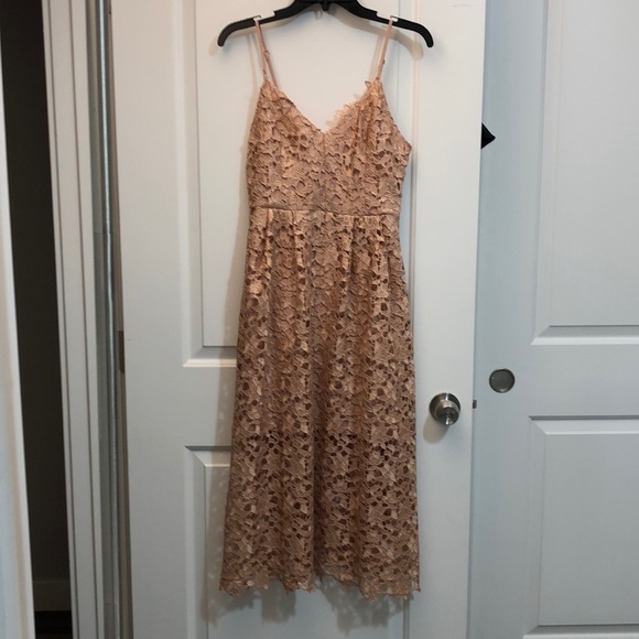 astr the label lace midi dress rose gold